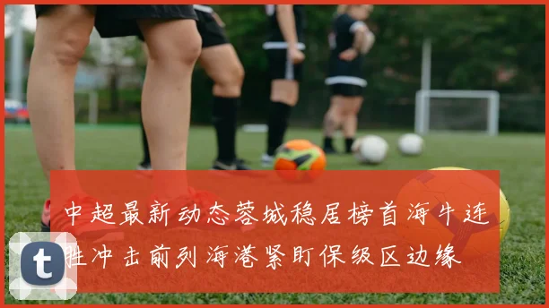 中超最新动态蓉城稳居榜首海牛连胜冲击前列海港紧盯保级区边缘